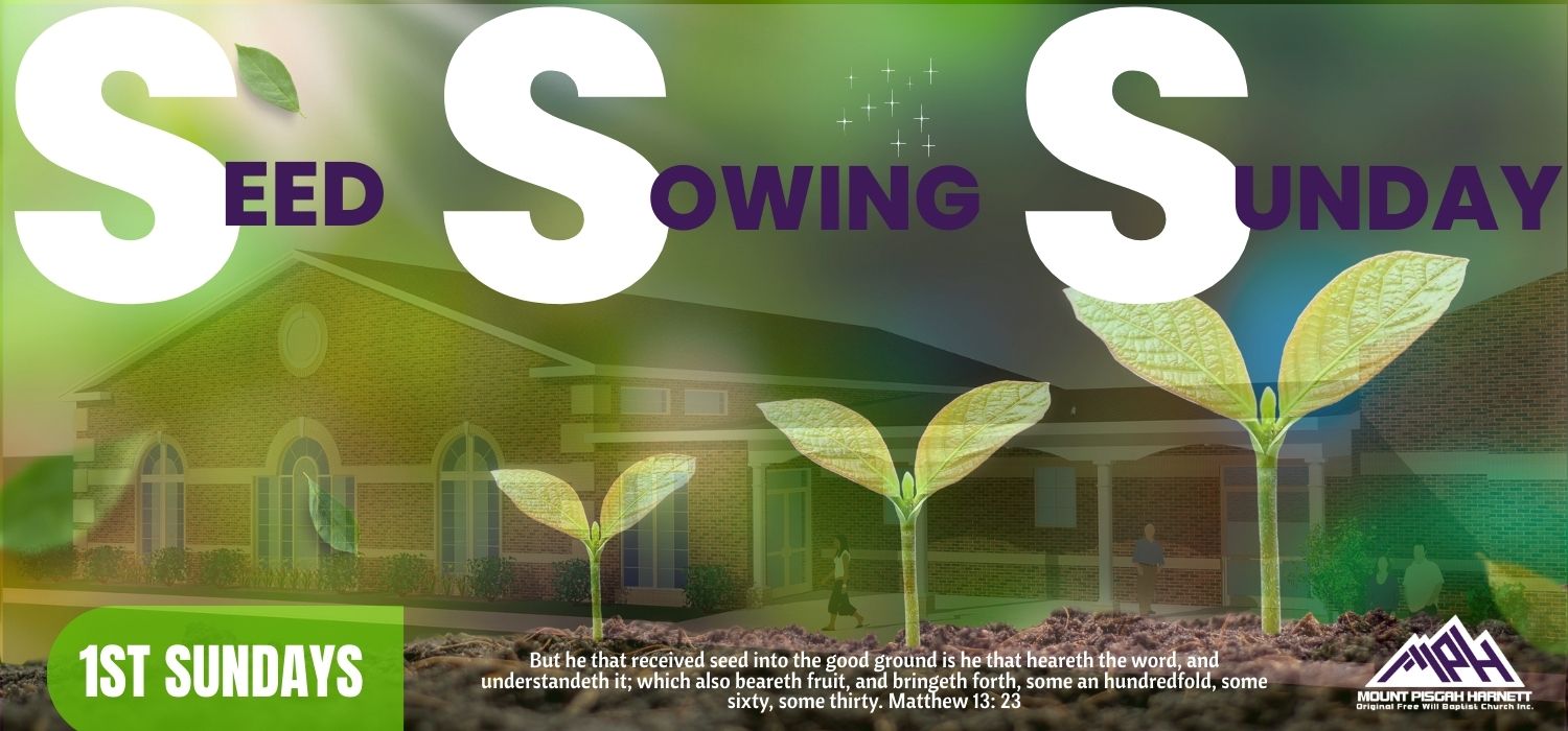 You are currently viewing Weekly Announcements for 02.01.26