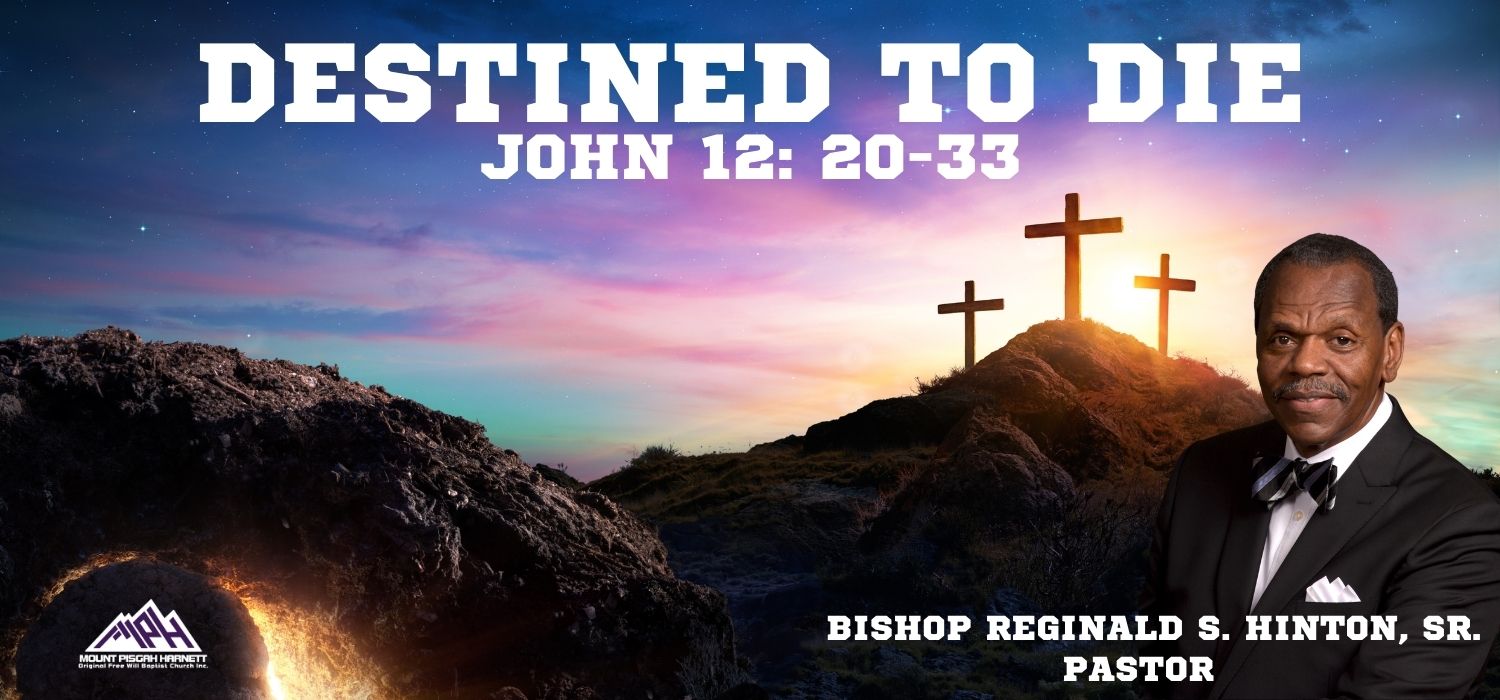 You are currently viewing Weekly Announcements for 03.01.26